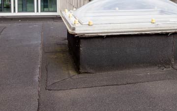 disadvantages of Fleets flat roofs