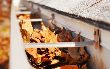 Fleets gutter cleaning companies