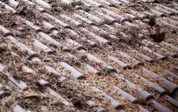 Fleets roof cleaning companies