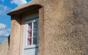Fleets thatch roof disadvantages
